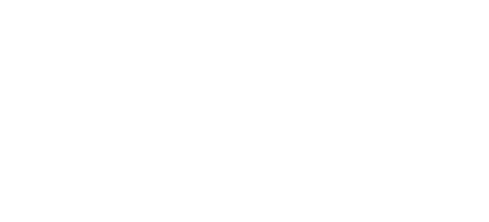 Nelz Management Logo